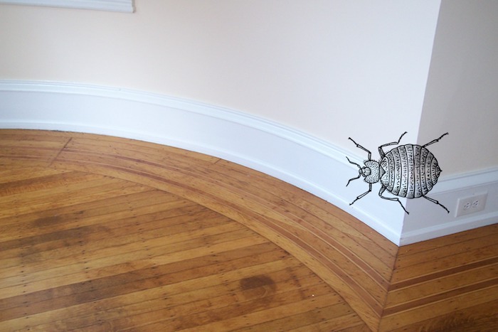 skirting board stop bed bugs
